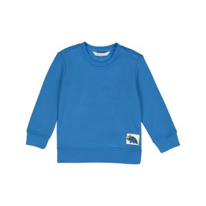 Younger Boy Crew Neck Sweater
