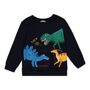 Younger Boy Dino Sweater