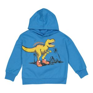 Younger Boy Printed Hoodie