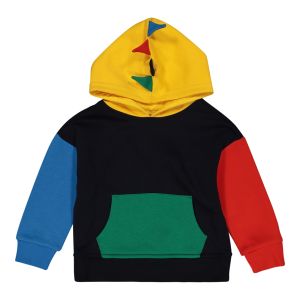 Younger Boys Novelty Colorblock Hoodie