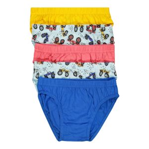 Younger Boy Assorted Briefs