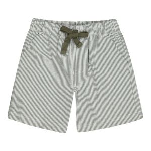 Younger Boy Textured Shorts