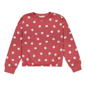 Younger Girl Printed Spot Pullover