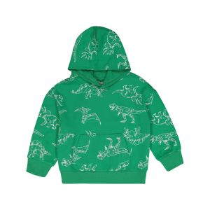 Younger Boys Dino Hoodie