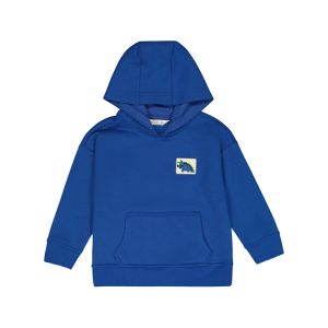 Younger Boys Basic Hoodie