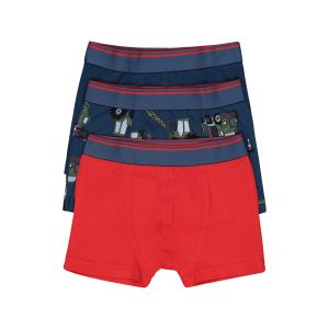 Younger Boy 3 Pack Trunks