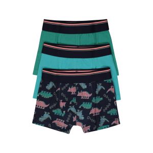 Younger Boy Trunk 3 Pack