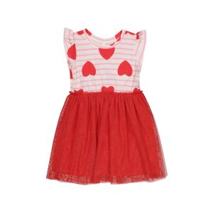 Younger Girl Heart Mesh Dress