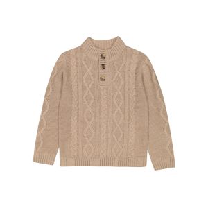 Younger Boys Knitwear Sweater