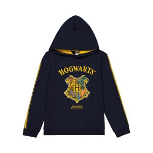Older Boys Hogwarts Hoodie