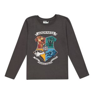 Older Boys Character Tee