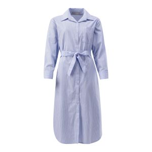 Striped Shirt Dress