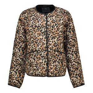 Real Collarless Jacket