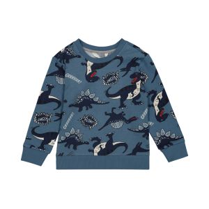 Younger Boys Dino Crew Neck