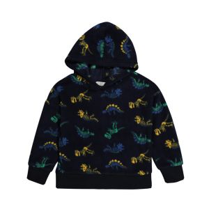 Younger Boys Microfleece Printed Hoody