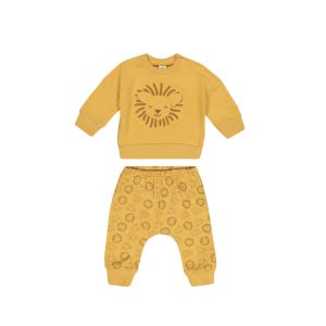 Baby Boy Lion Printed Fleece Set