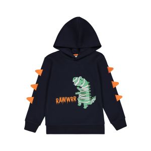 Younger Boys Novelty Hoodie