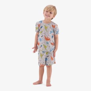 Younger Boy Pajama Set