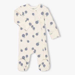 Baby Blueberry Babygrow