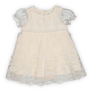 Baby Girl Mesh Dress