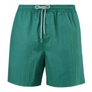 Mens Colour Swimshorts