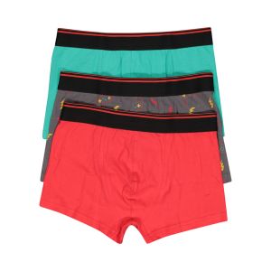 Older Boys Fun Printed Trunk